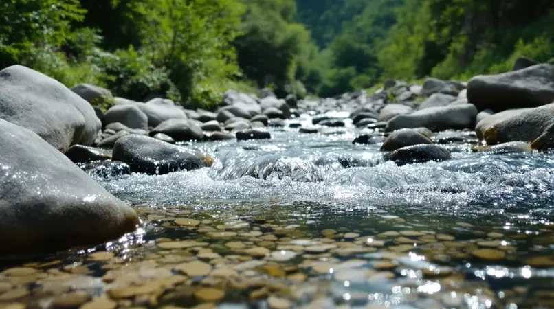 《山涧清音》剧照封面 - 策驰影视